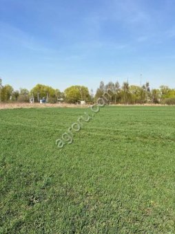 Земельный участок 81,5 га., в Московской области