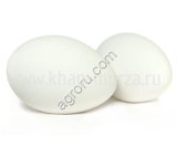 Гусиные инкубационные яйца. Сезон 2026