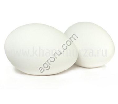 Гусиные инкубационные яйца. Сезон 2026