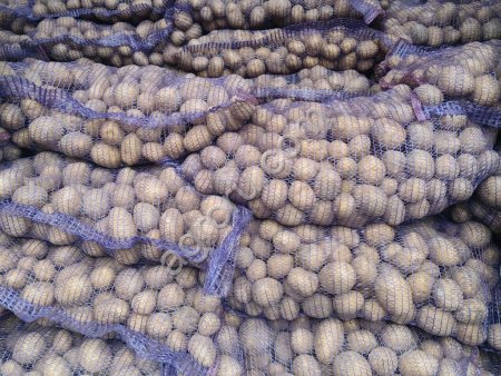 Семенной картофель разные сорта рс2 рс1 элита