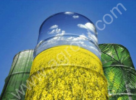 Рапсовое масло