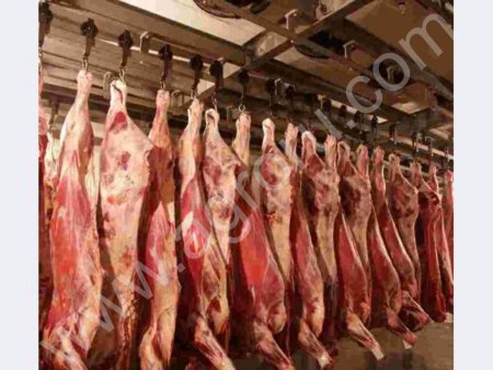Мясо говядины оптом