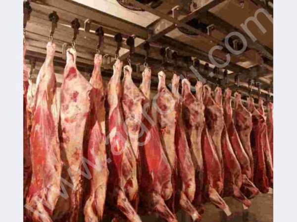 Мясо говядины оптом