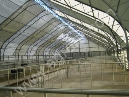 Строительство свинарников под ключ