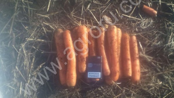 овощи оптом