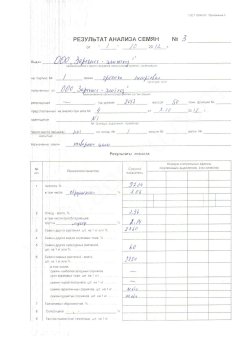 Гречиха несортовая