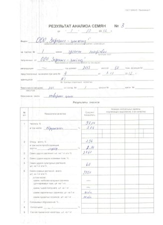 Гречиха несортовая