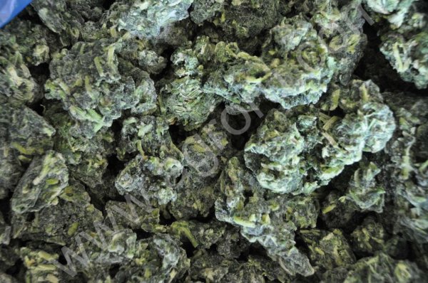 Замороженый шпинат ЛЕДЕНИЦА