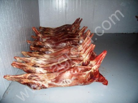 Мясо северного оленя. Оптом осталось 70 тонн