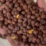 Нут красный