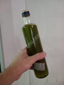 Оливковое масло