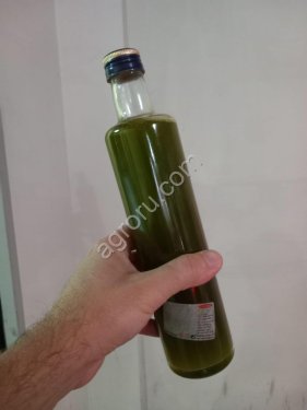 Оливковое масло