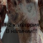 Говядина на кости