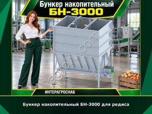 Бункер накопительный БН-3000 для редиса