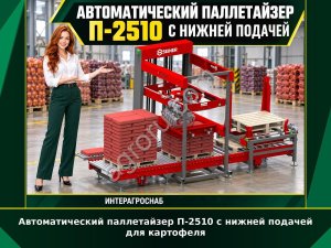 Автоматический паллетайзер П-2510 с нижней подачей для картофеля