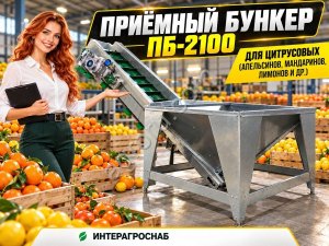 Приёмный бункер ПБ-2100 для цитрусовых (апельсинов, мандаринов, лимонов и др.)