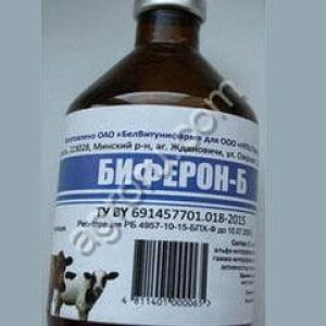 Биферон -Б 100 мл