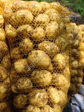 Молодой картофель