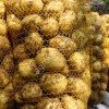 Молодой картофель