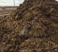 Коровий навоз