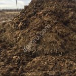 Коровий навоз