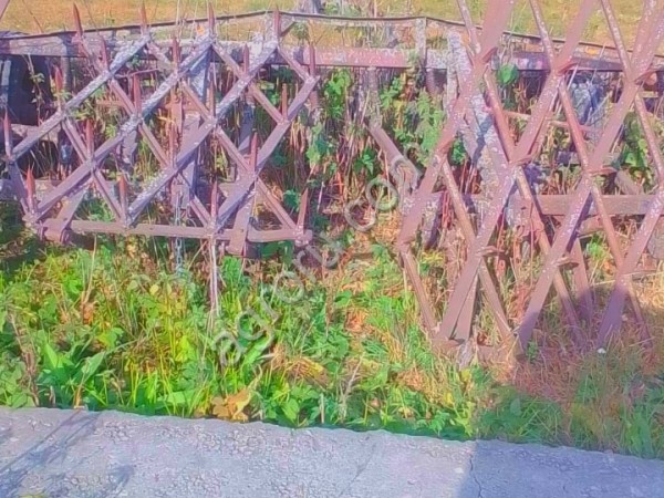 культиватор Оршаагропроммаш, АМП-4Г, 2015 год