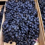 Виноград Молдова