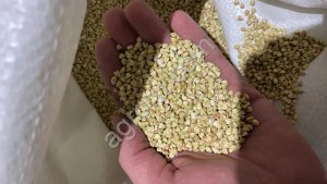 Зелёная Гречка