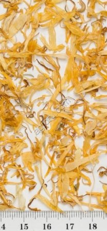 Календула лепестки