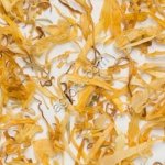 Календула лепестки