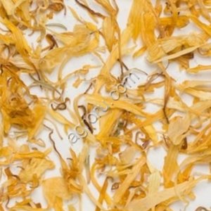 Календула лепестки