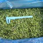 Кинза резанная замороженная