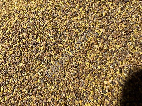 Люцерна 2ой сорт