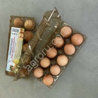 Яйцо куриное пищевое столовое с оранжевым желтком