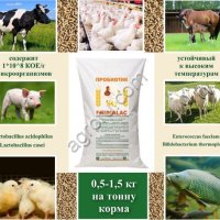 PrimaLac сухая пробиотическая кормовая добавка