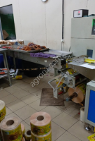 Горизонтальная упаковочная машина HDL-450X