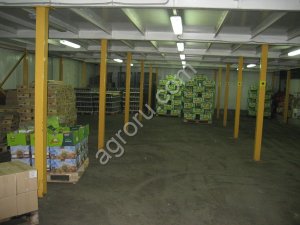 Холодильные камеры в аренду