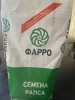 Озимый рапс «Северянин»