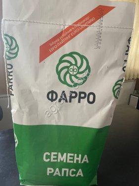 Озимый рапс «Северянин»
