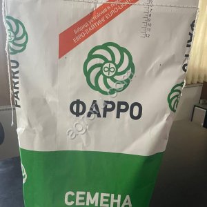 Озимый рапс «Северянин»