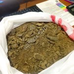 Жмых рапсовый, 36% асв