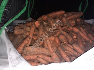 Морковь 1,2 сорта