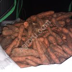 Морковь 1,2 сорта