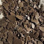 Жмых льняной 28-30%