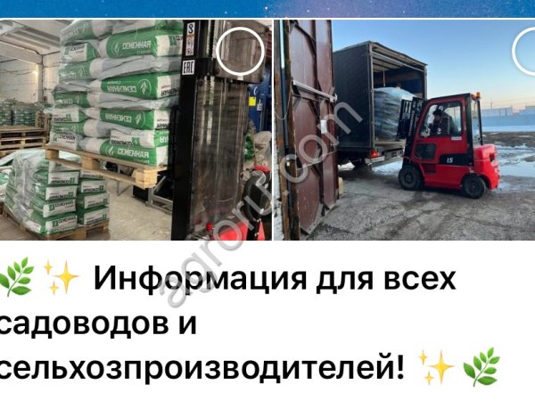 Семена многолетних трав