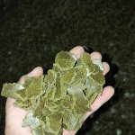 Жмых рапсовый