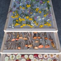 Лоток для сушки макарон, фруктов, овощей, грибов