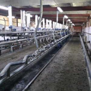 Доильный зал для крс (Milk line на 60 голов)