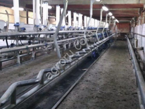 Доильный зал для крс (Milk line на 60 голов)