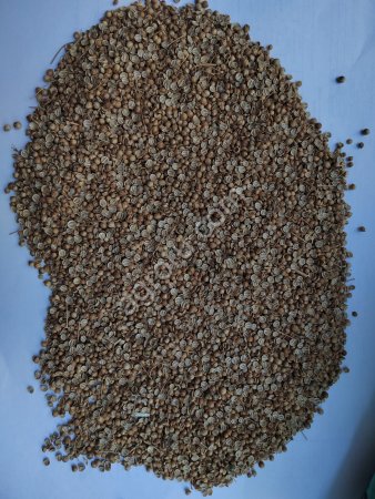 Кориандр (половинки)